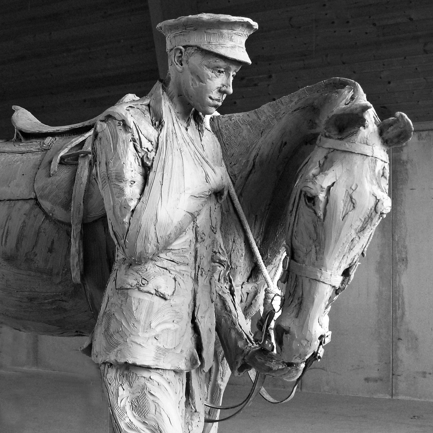 Trooper and War Horse Amy Goodman